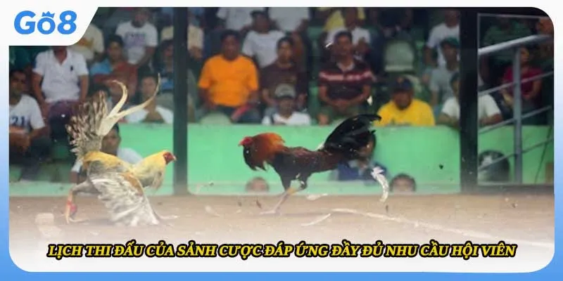 Lịch thi đấu của sảnh cược đáp ứng đầy đủ nhu cầu hội viên 