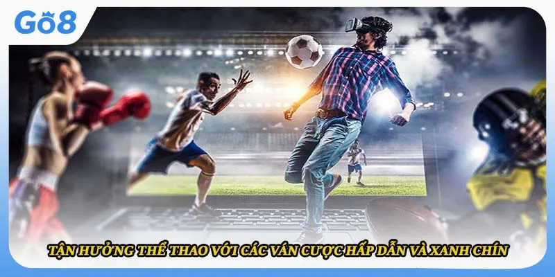 Tận hưởng thể thao với các ván cược hấp dẫn và xanh chín